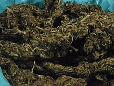 Κατασχέθηκαν 20 κιλά κάνναβης στην Πάφο